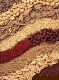 Pulses